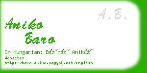 aniko baro business card